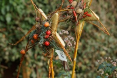 DSC00469