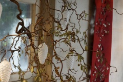 DSC00534